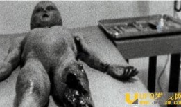 斯诺登爆料外星人视频,外星人视频真实曝光，震撼全球